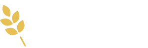 Liquid Therapy Brewery & Grill